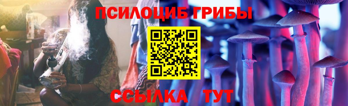 Псилоцибиновые грибы мицелий  Вход с VPN  Пенза 